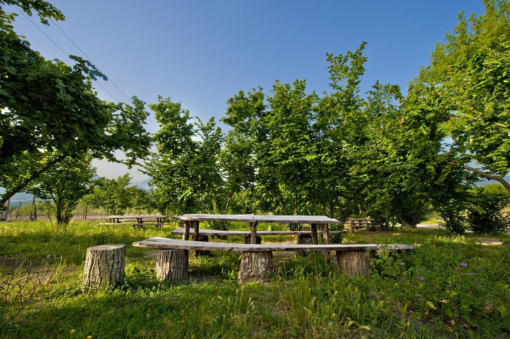 Tenuta Ippocrate Montefredane Exteriér fotografie